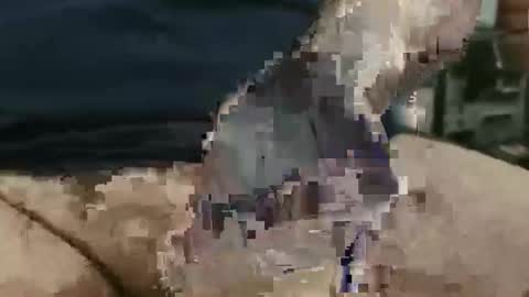 Snapshot of showsme chatting on 09.22.25 showsme online show from 09.22.25