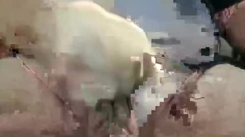 Snapshot of showsme chatting on 10.28.25 showsme online show from 10.28.25