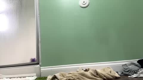 Snapshot of shyg1r1 chatting on 02.27.25 Sasha online show from 02.27.25