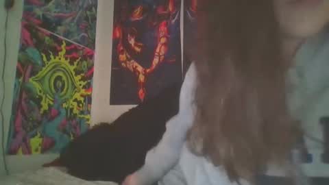 RBXs Princess online show from 12.18.24