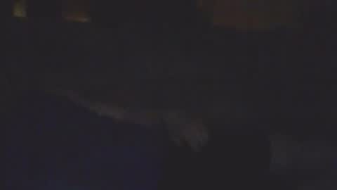 Bill online show from 02.11.26