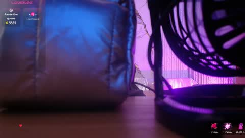 Snapshot of siena_tay chatting on 02.13.26 Siena online show from 02.13.26