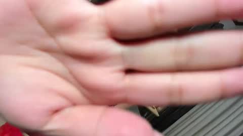 Belle online show from 03.12.25