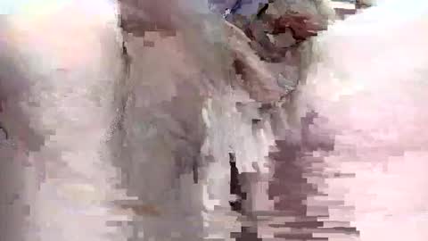 sigmaelixer online show from 09.29.25