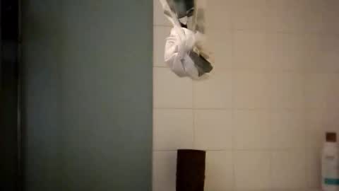 sigmaelixer online show from 10.18.25