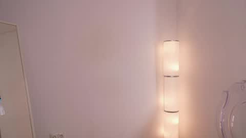 Snapshot of silent_chill chatting on 01.24.25 Chilli online show from 01.24.25