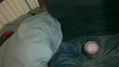 silentstiffler online show from 11.30.25