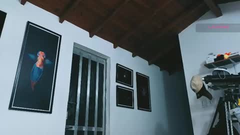 silvabranko online show from 04.19.26