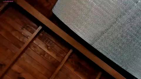 silvabranko online show from 06.03.26
