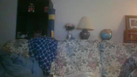 silverfunfox online show from 12.29.24