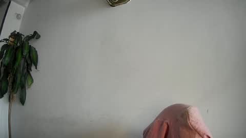 Snapshot of silviecollins chatting on 02.15.25 Silvie online show from 02.15.25