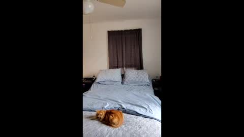 Snapshot of simplysarah1225 chatting on 02.17.26 simplysarah1225 online show from 02.17.26