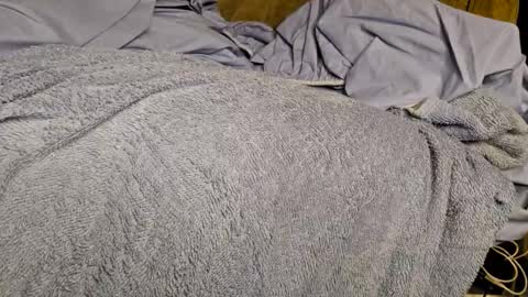 Sinseason online show from 12.03.24