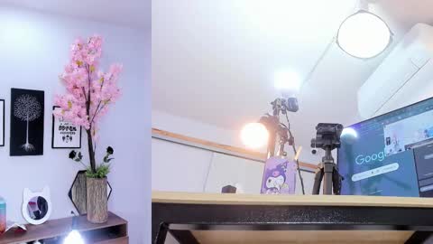 Siouxsie online show from 02.05.26