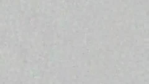 siren indira online show from 04.02.26