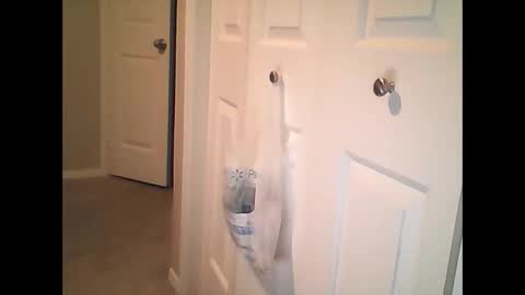 sirenofsin2002 online show from 01.17.25