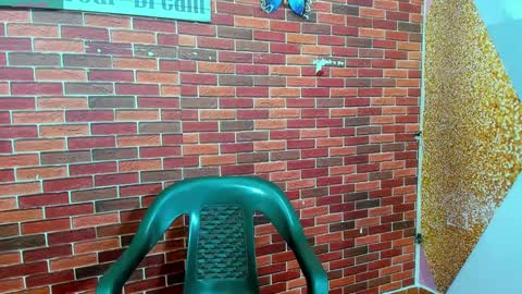 Snapshot of sirryant chatting on 02.27.25 SIR RYANT online show from 02.27.25