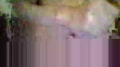 sisinyedz0000 online show from 02.04.26