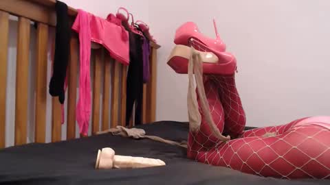 Snapshot of sissysubwhore chatting on 11.26.25 Lotty online show from 11.26.25