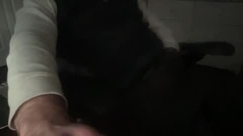 Snapshot of sissytraining2 chatting on 02.18.25 sissytraining2 online show from 02.18.25