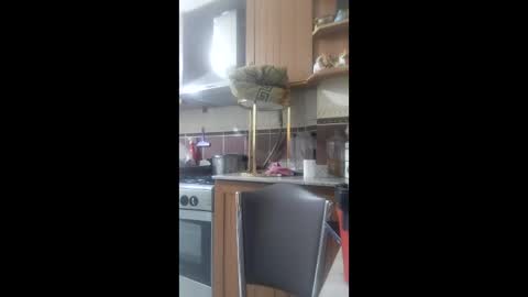 Snapshot of siyahkedy2 chatting on 02.17.26 siyahkedy2 online show from 02.17.26