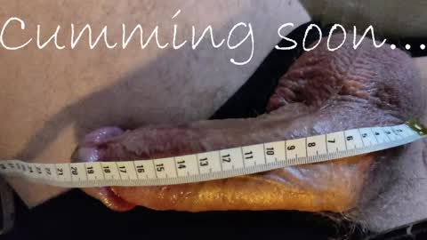 Size King  online show from 04.05.26