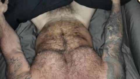 BEEF online show from 09.11.25