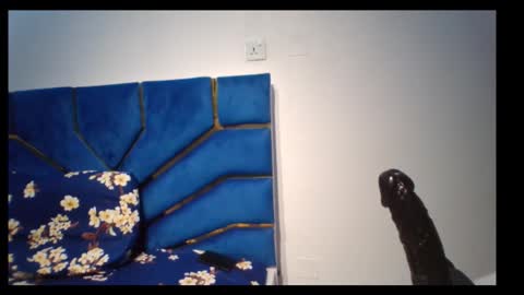 Snapshot of skinnyasssexyboobs chatting on 11.05.25 skinnyasssexyboobs online show from 11.05.25