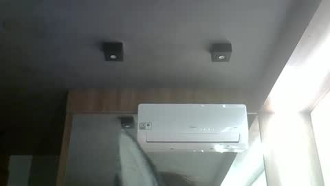 skinnykittencam online show from 03.17.26