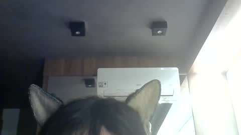Snapshot of skinnykittencam chatting on 06.09.26 skinnykittencam online show from 06.09.26