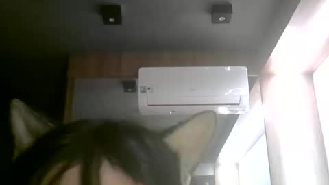 Snapshot of skinnykittencam chatting on 06.11.26 skinnykittencam online show from 06.11.26