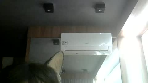 Snapshot of skinnykittencam chatting on 06.12.26 skinnykittencam online show from 06.12.26