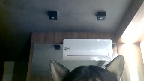 Snapshot of skinnykittencam chatting on 06.29.26 skinnykittencam online show from 06.29.26