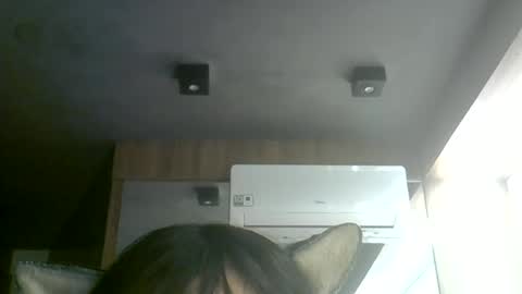 Snapshot of skinnykittencam chatting on 07.07.26 skinnykittencam online show from 07.07.26