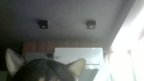 Snapshot of skinnykittencam chatting on 07.08.26 skinnykittencam online show from 07.08.26