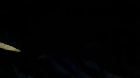 Snapshot of skinnypole6 chatting on 12.04.24 skinnypole6 online show from 12.04.24