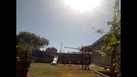 skip1975 online show from 12.29.24