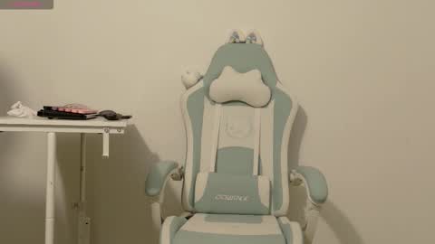 Snapshot of skye_nerdy chatting on 10.12.25 SKYE. online show from 10.12.25