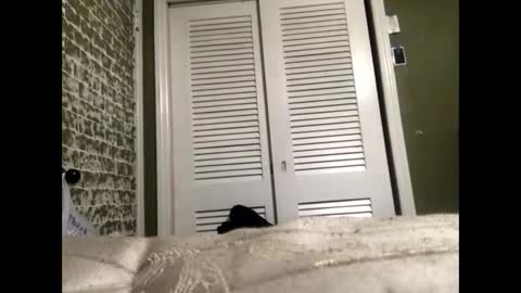 Snapshot of slangindopee chatting on 01.22.25 Slangindopee online show from 01.22.25