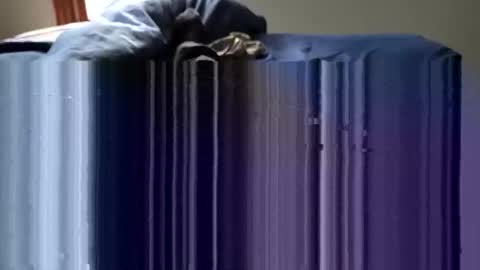 slappincheeks299 online show from 10.28.25