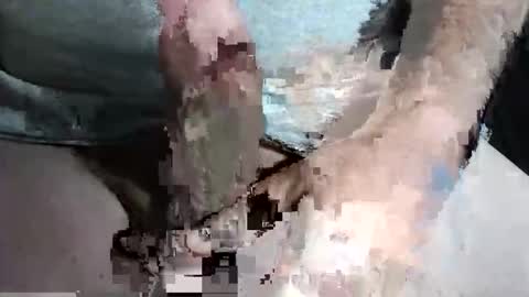 Z online show from 09.13.25