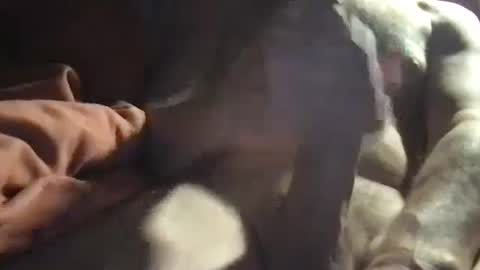 slienthear83 online show from 01.14.25