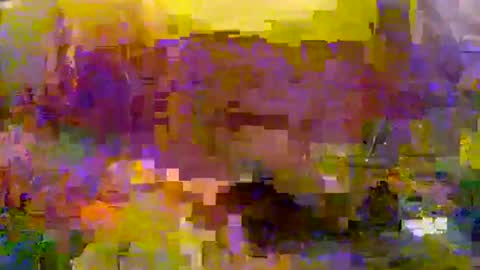 Snapshot of slip_inslide chatting on 03.09.25 slip_inslide online show from 03.09.25