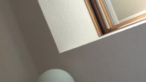 Bernd online show from 09.18.25