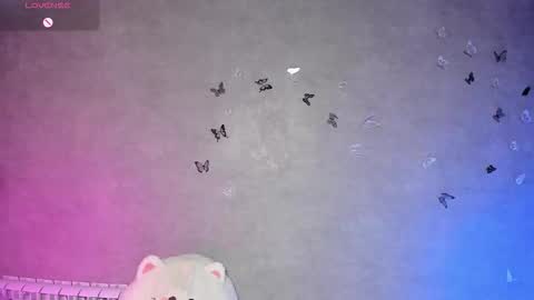 Melani online show from 10.08.25