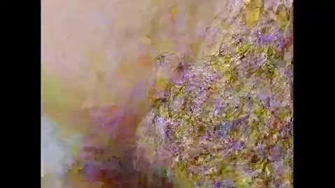 Small Hairy Uncut online show from 02.26.25