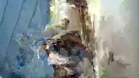 Snapshot of smiley_berry chatting on 09.30.25 smiley_berry online show from 09.30.25