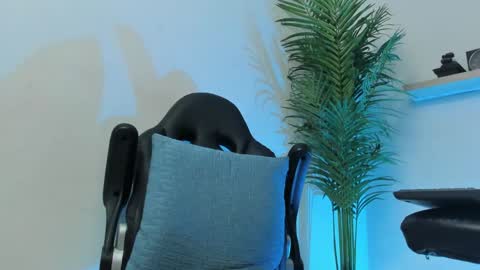 Snapshot of smitgrey chatting on 12.07.24 SMIT  online show from 12.07.24