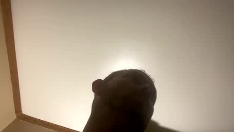 Snapshot of smokeymt420 chatting on 03.08.25 smokeymt420 online show from 03.08.25