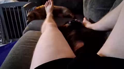 smokynight online show from 09.14.25